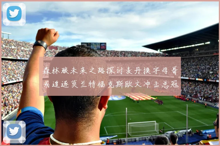 森林狼未来之路探讨麦丹换字母哥或追逐莫兰特福克斯欧文冲击总冠军